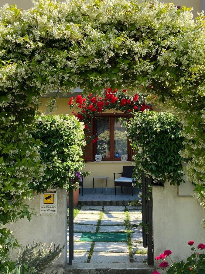 Villa Dei Cedri Scalea Bagian luar foto